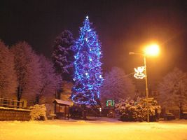 Foto č. 32 - Vánoční strom na náměstí